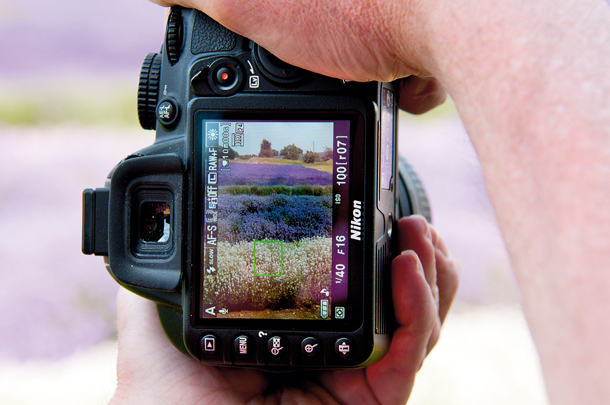 How_to_take_sharp_photos_NIK11.zone_1.lavender06