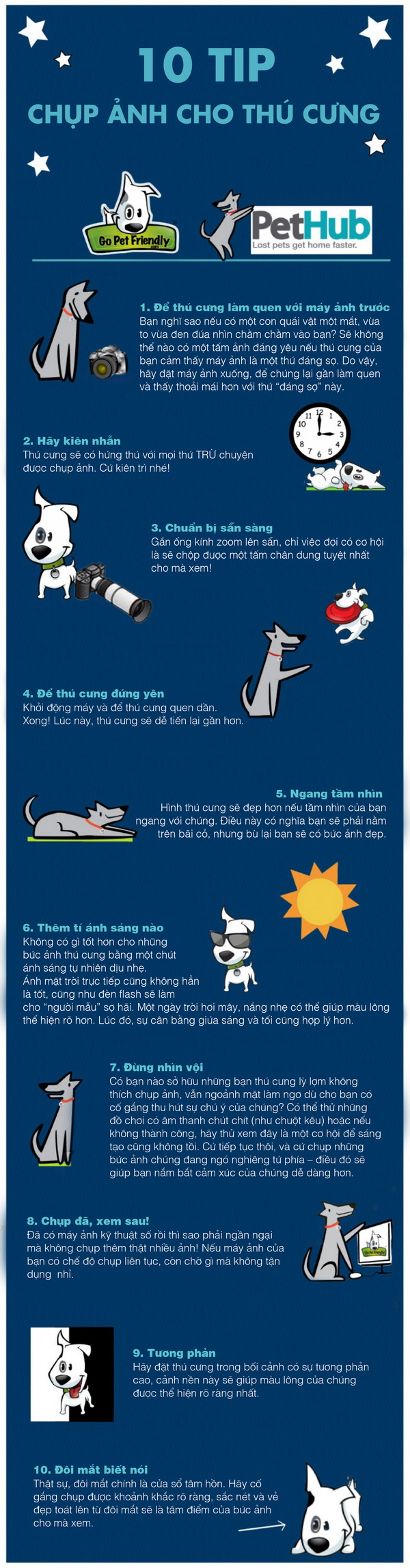 [Infographic] 10 Tip tuyệt vời chụp ảnh cho thú cưng