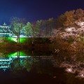 Chụp hoa đào ở Nhật Bản: Thắng cảnh và thủ thuật chụp ảnh chuyên nghiệp (Phần 2)