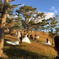 Bức ảnh ấn tượng nhất cuối tuần: Đà Lạt "1 mét vuông 10 đôi chụp ảnh cưới" và phản ứng hài hước của dân mạng