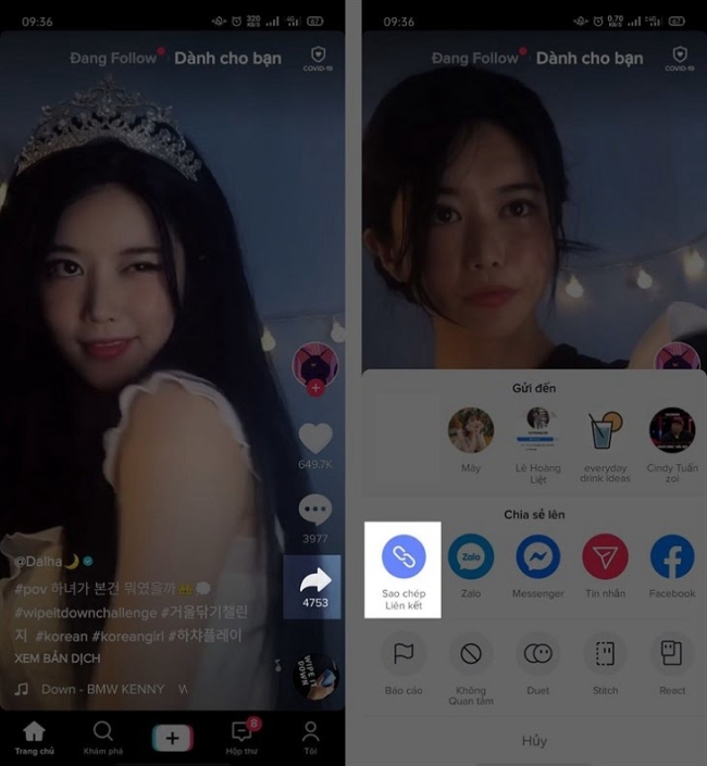 5 Cách Chuyển Video Tiktok Sang Mp4 Online Không Có Logo - Photozone